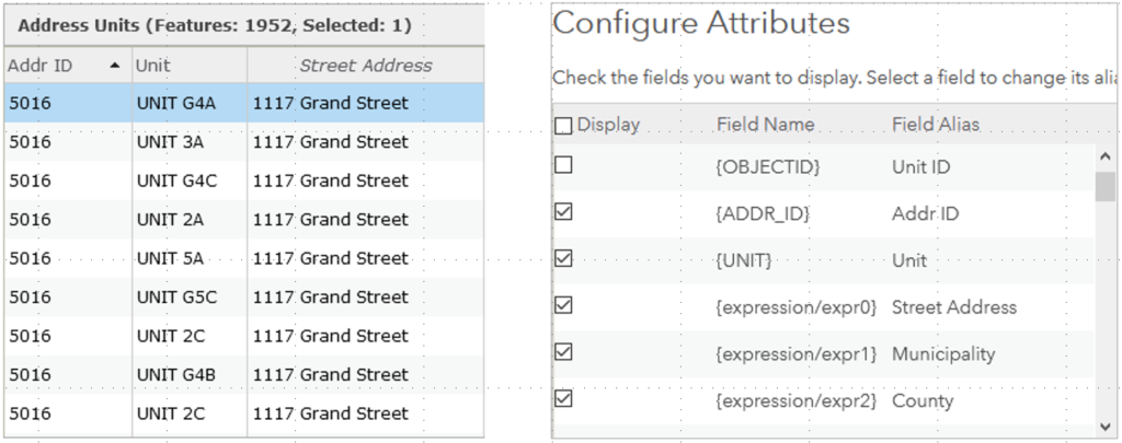 Screenshot of ArcGIS Online layer attribute table with field values added using Arcade scripting; Screenshot of ArcGIS Online layer Pop-up Configure Attributes window with fields created using Arcade expressions