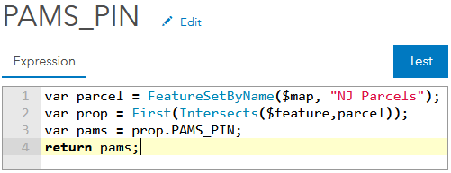 Arcade script utilizing FeatureSet function to access attributes from a layer by spatial overlay; Esri Arcade expression language