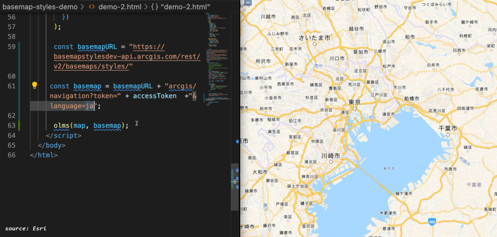 Screenshot of the ArcGIS basemap styles API and localization parameter